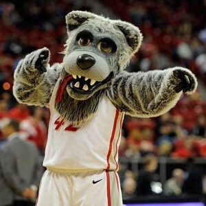 Louie Lobo's Wolf Pack